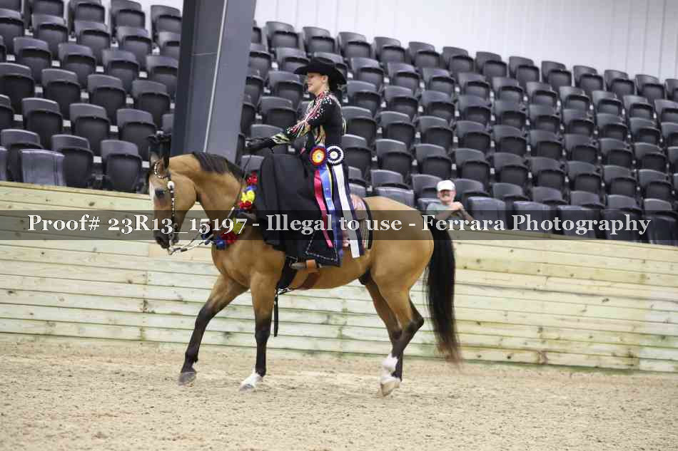 Proof Number 23R13_15197