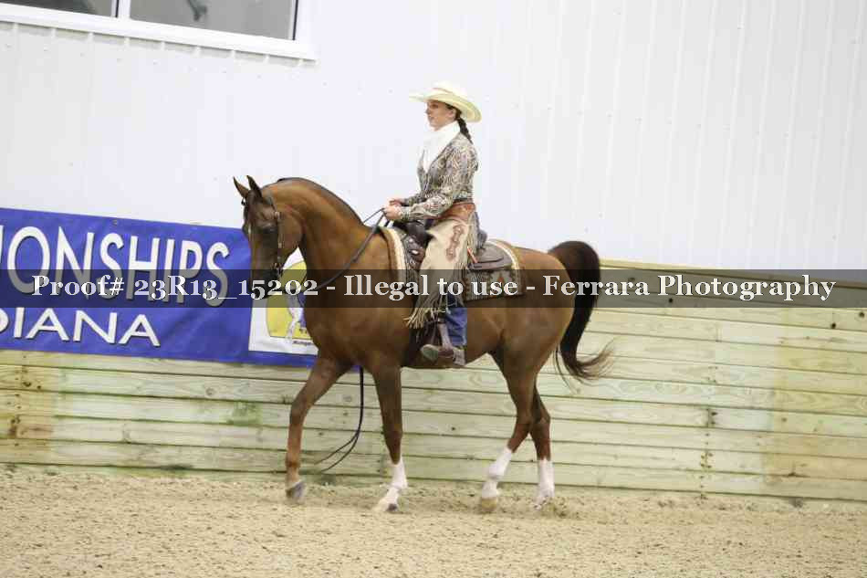 Proof Number 23R13_15202