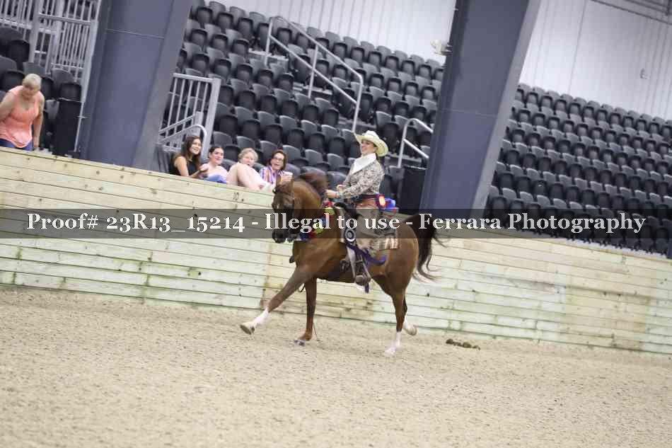 Proof Number 23R13_15214