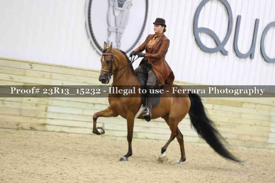 Proof Number 23R13_15232