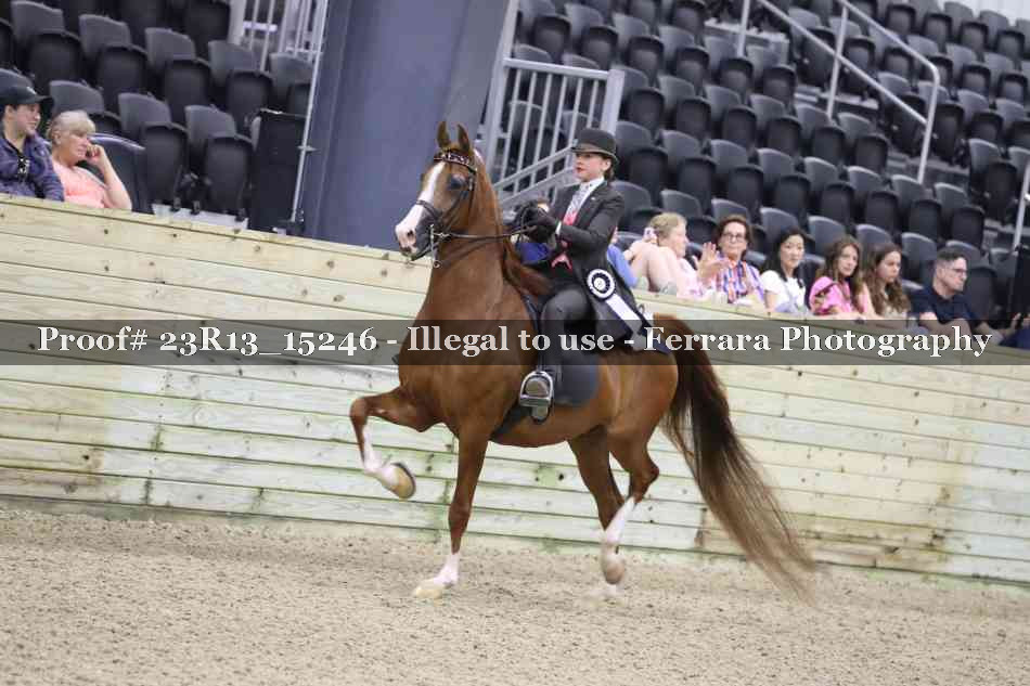 Proof Number 23R13_15246