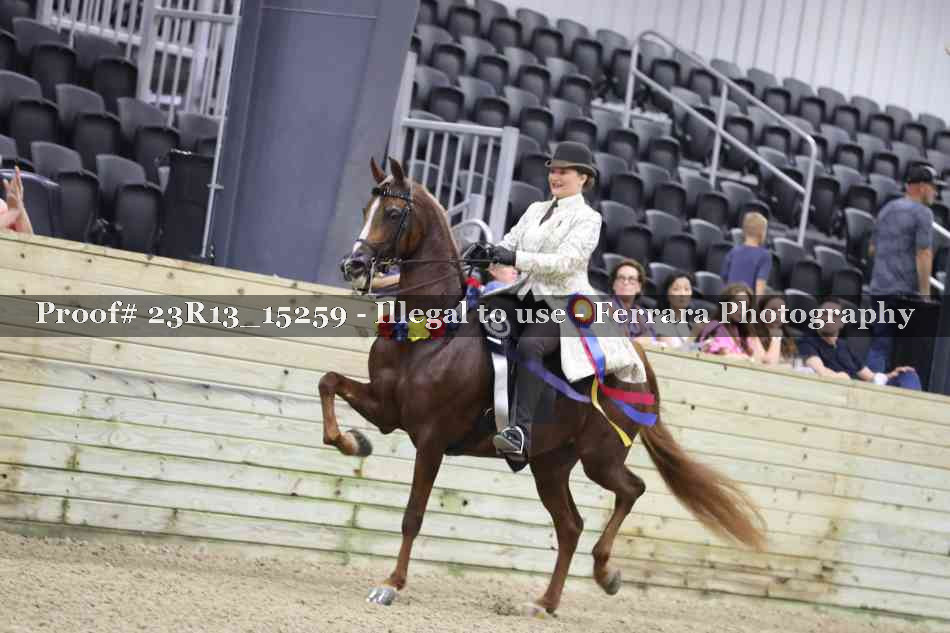 Proof Number 23R13_15259