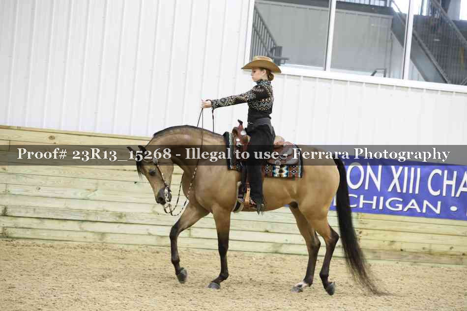 Proof Number 23R13_15268