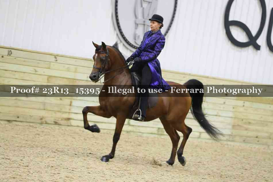 Proof Number 23R13_15395