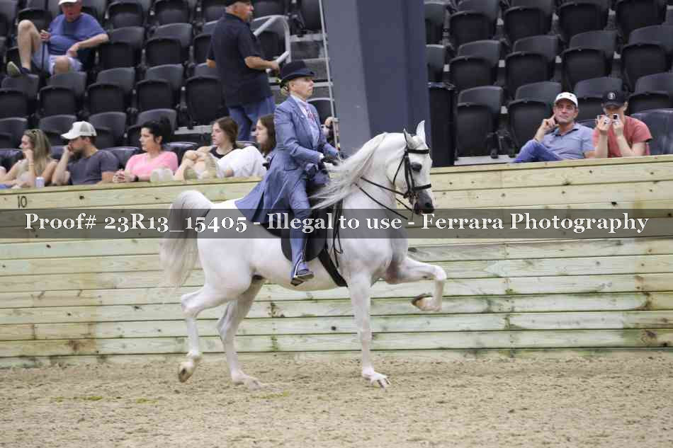 Proof Number 23R13_15405