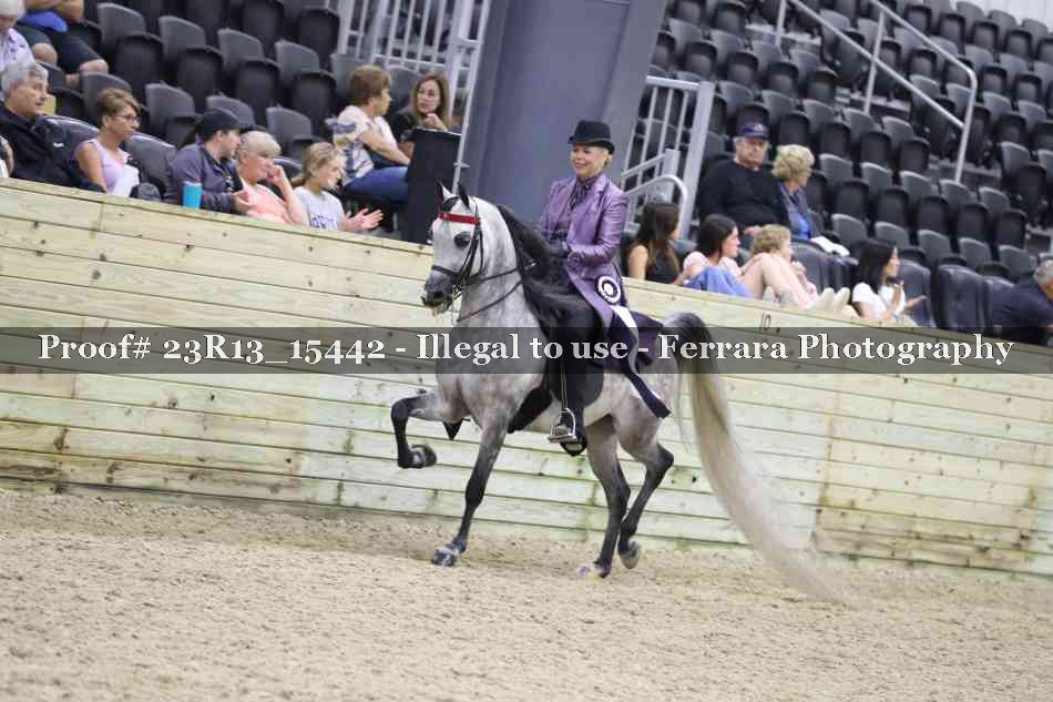 Proof Number 23R13_15442