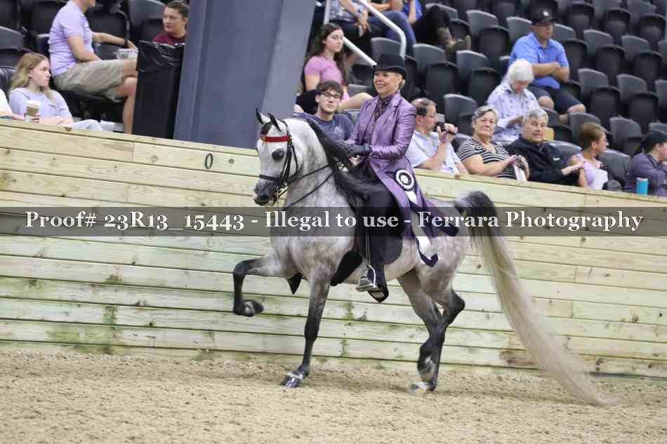 Proof Number 23R13_15443