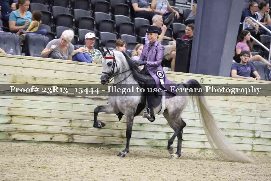 Proof Number 23R13_15444