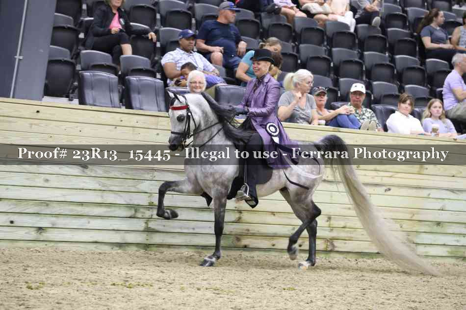 Proof Number 23R13_15445