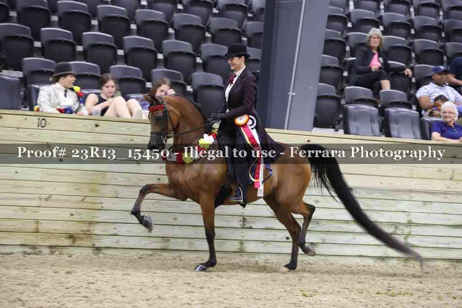 Proof Number 23R13_15450
