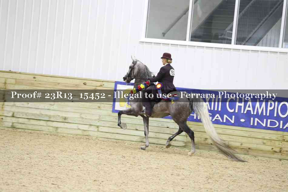 Proof Number 23R13_15452