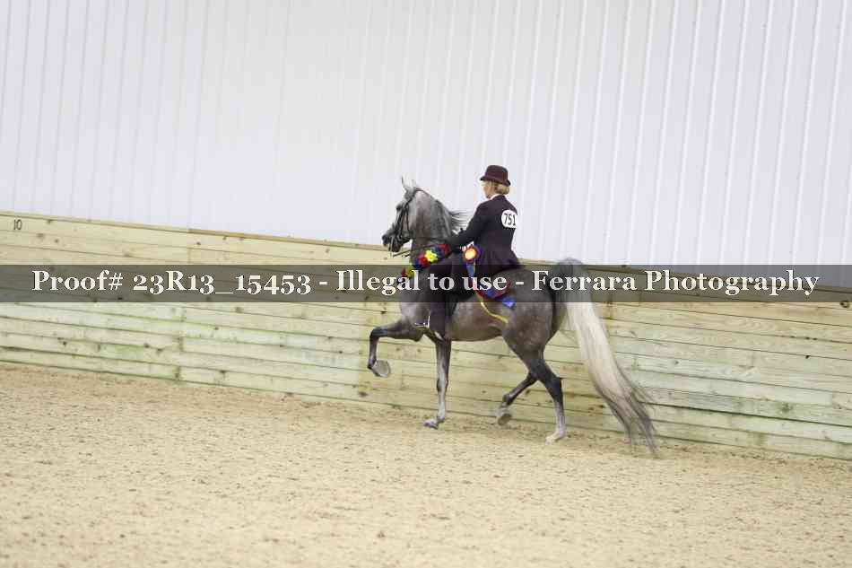 Proof Number 23R13_15453