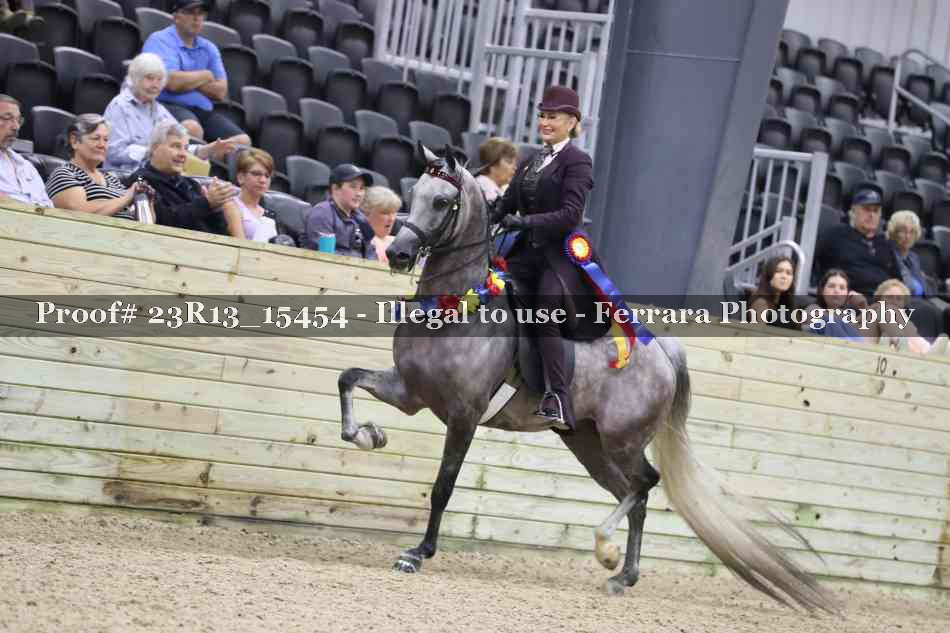 Proof Number 23R13_15454