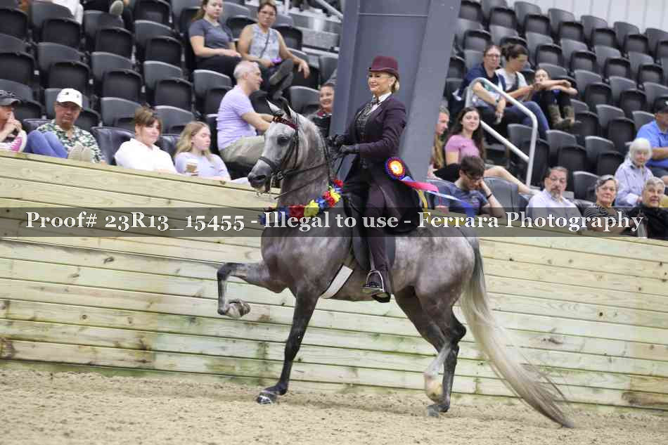 Proof Number 23R13_15455