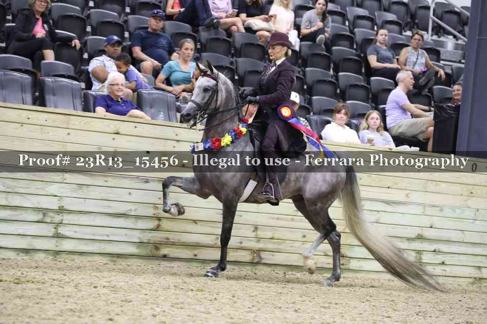 Proof Number 23R13_15456