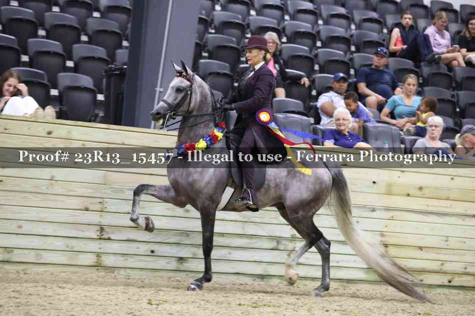 Proof Number 23R13_15457