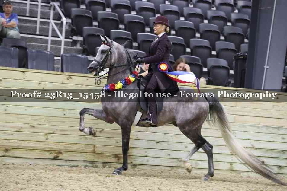 Proof Number 23R13_15458