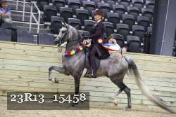 23R13_15458 thumbnail
