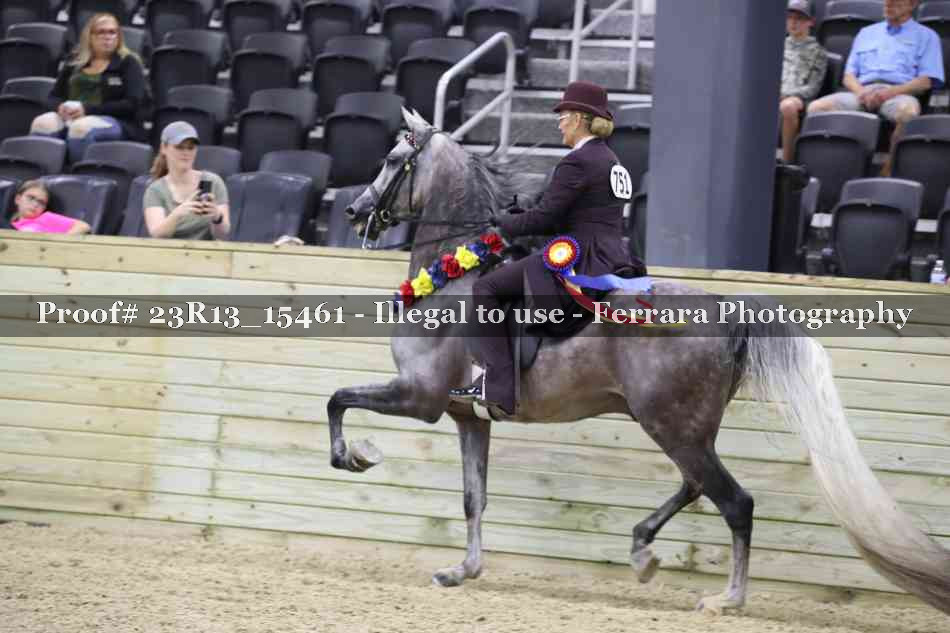 Proof Number 23R13_15461