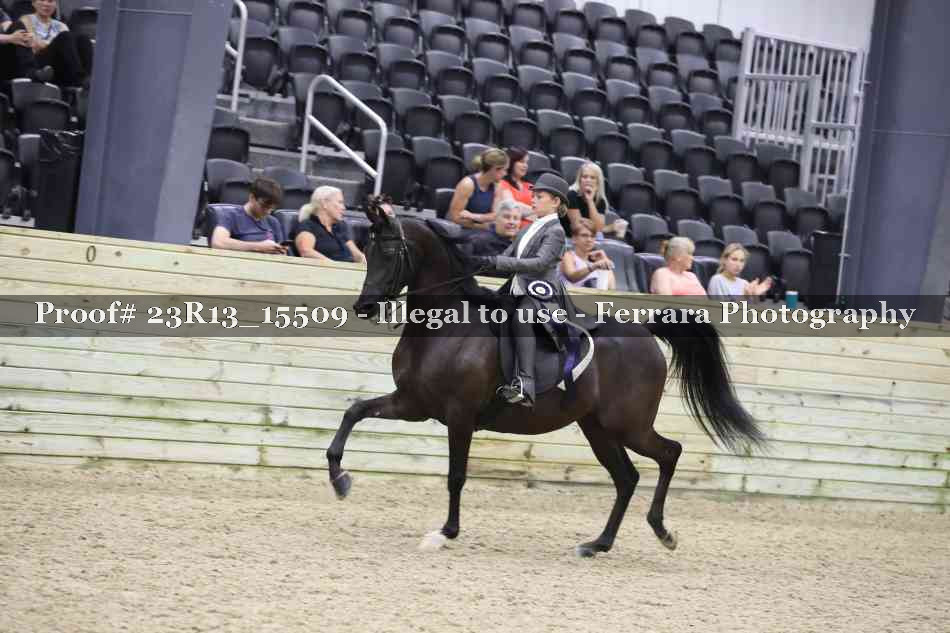 Proof Number 23R13_15509