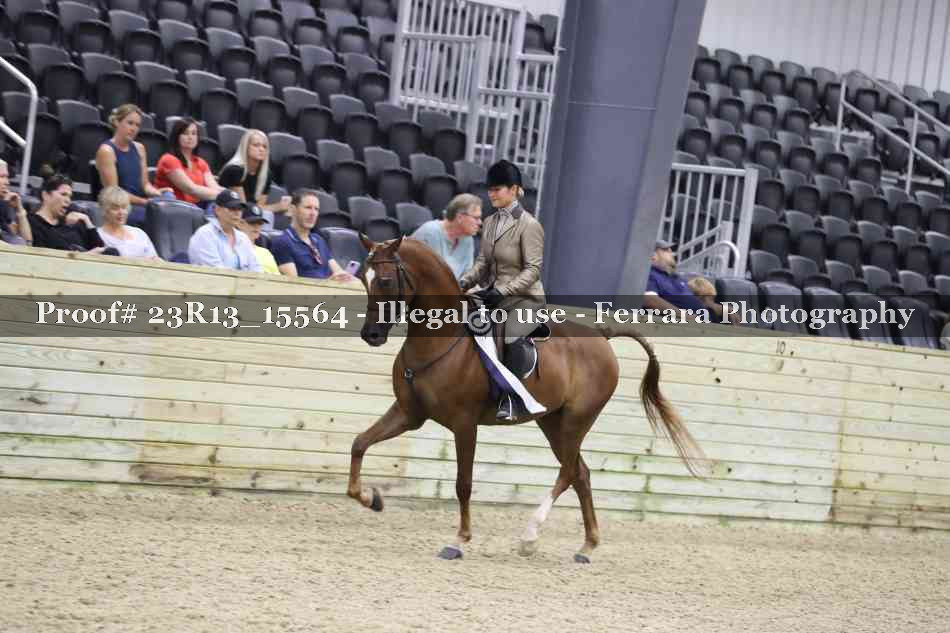 Proof Number 23R13_15564