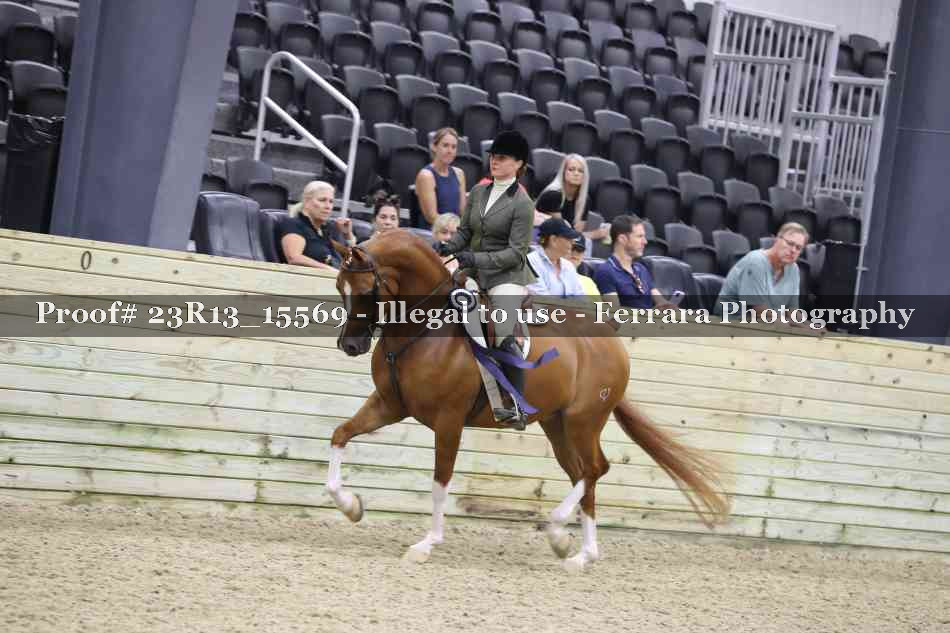 Proof Number 23R13_15569