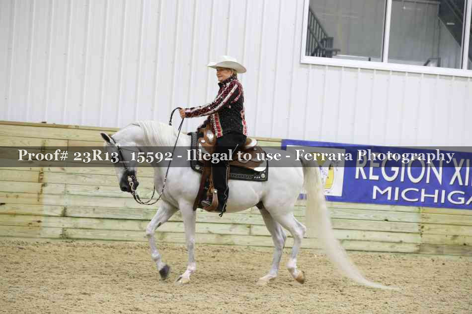 Proof Number 23R13_15592