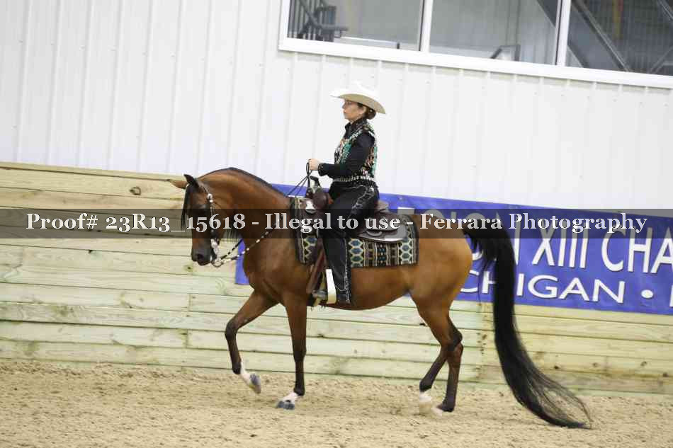 Proof Number 23R13_15618