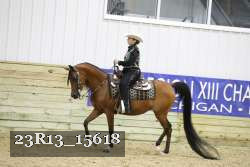 23R13_15618 thumbnail