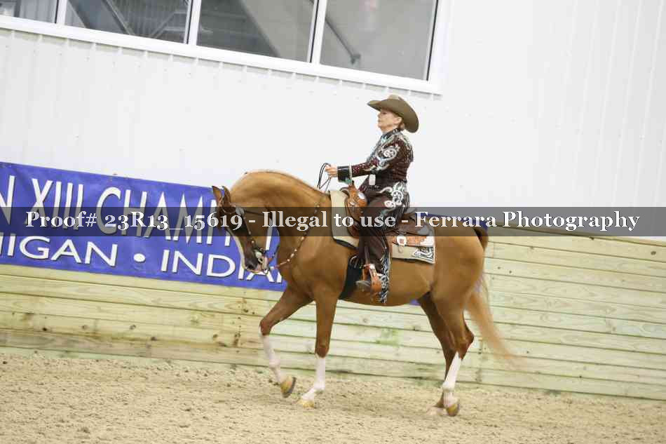Proof Number 23R13_15619