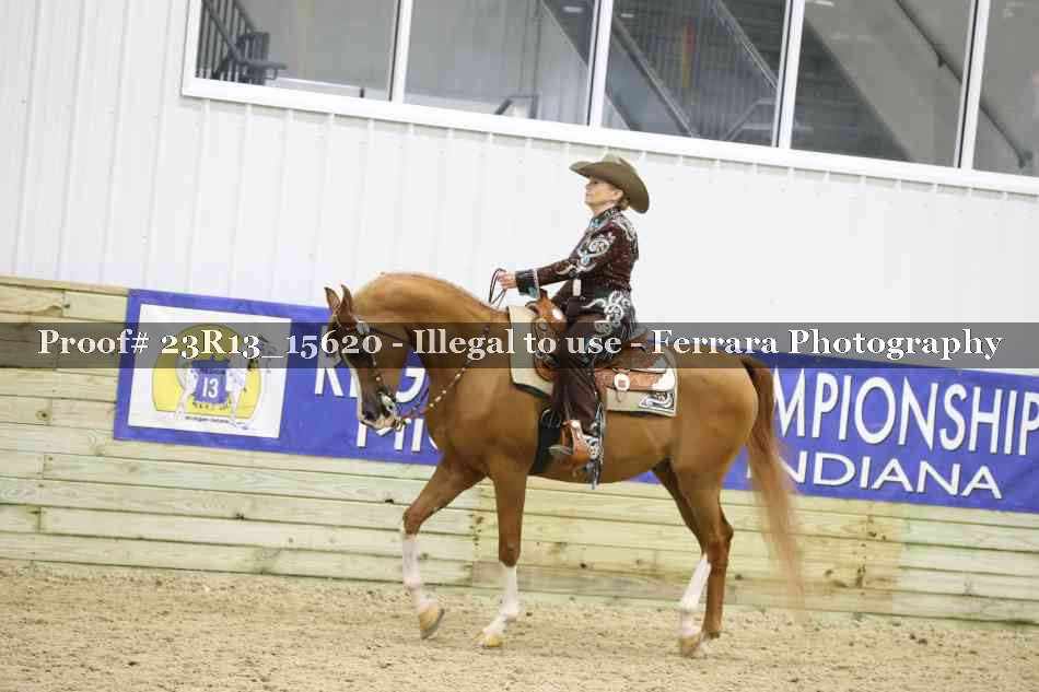 Proof Number 23R13_15620