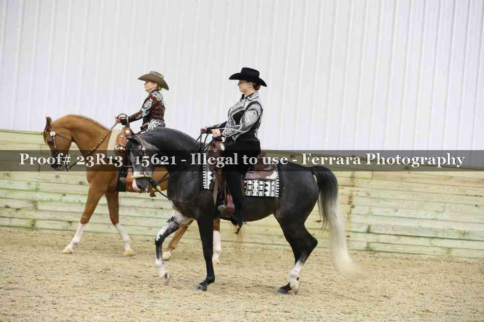 Proof Number 23R13_15621