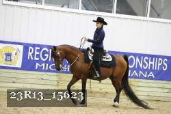 23R13_15623 thumbnail