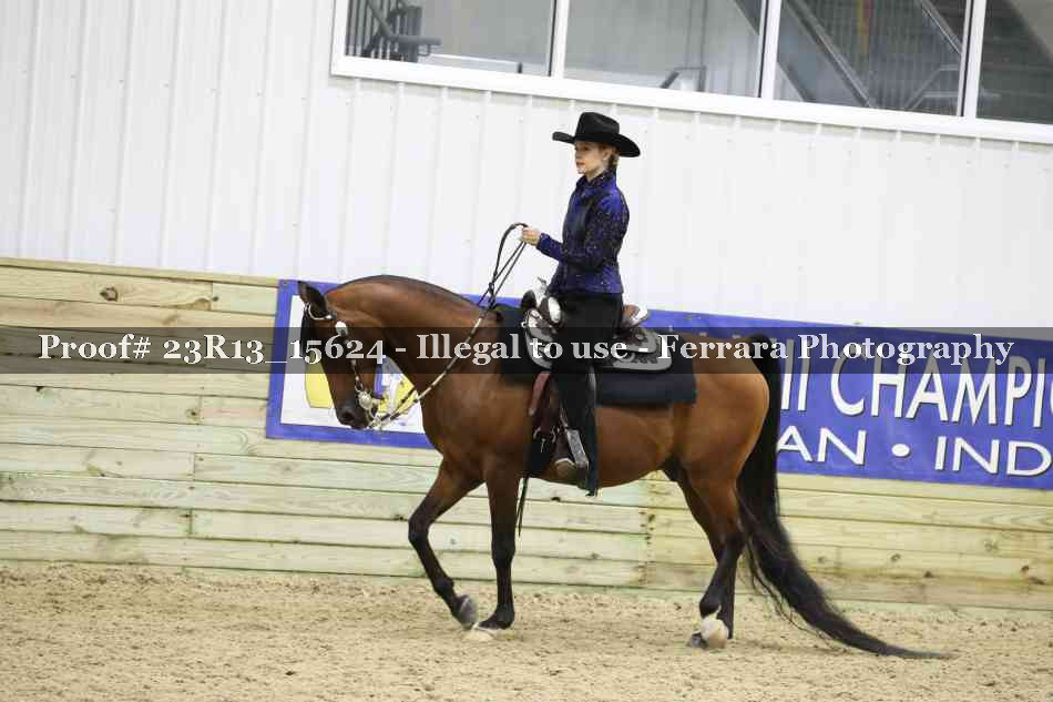 Proof Number 23R13_15624