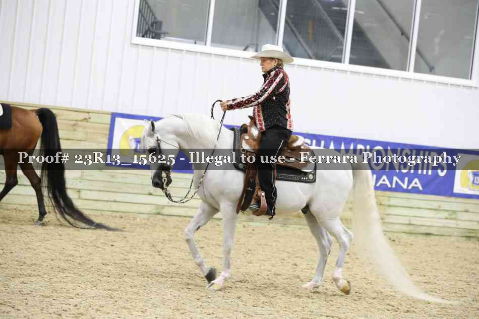 Proof Number 23R13_15625
