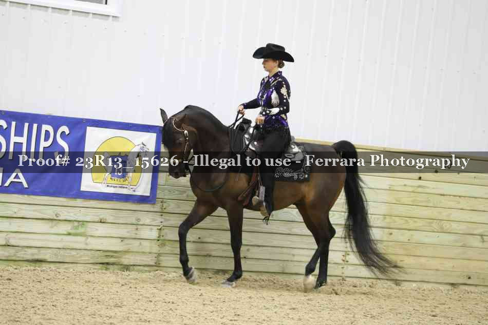 Proof Number 23R13_15626
