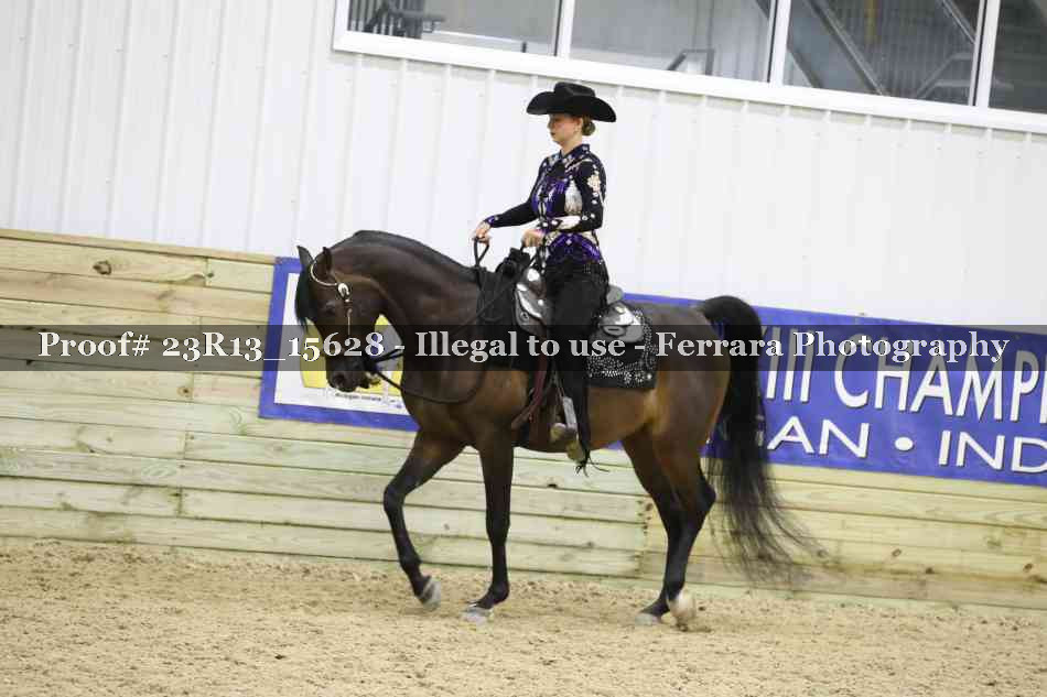 Proof Number 23R13_15628