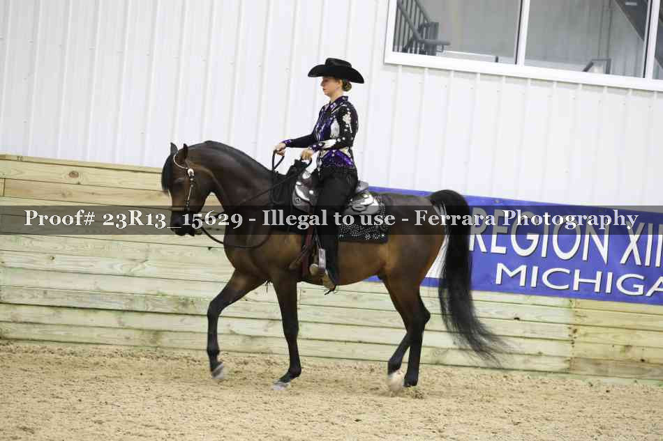 Proof Number 23R13_15629