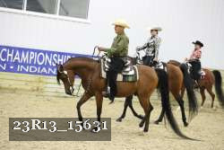 23R13_15631 thumbnail