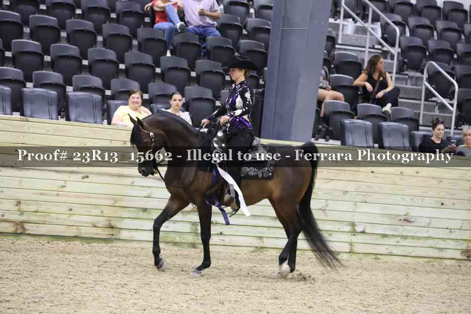 Proof Number 23R13_15662