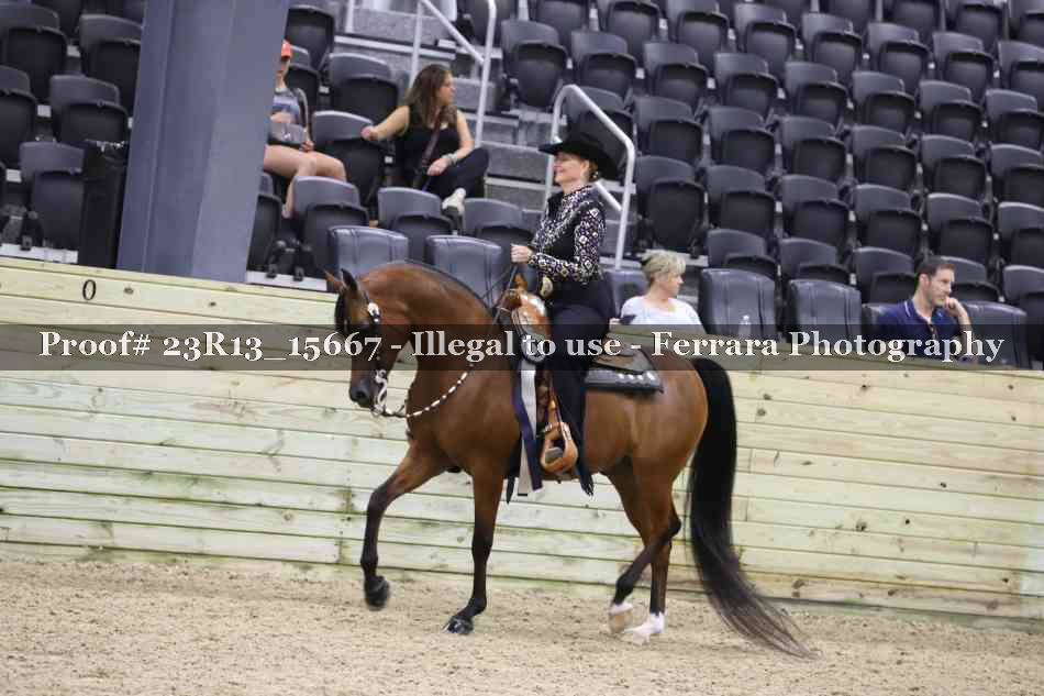 Proof Number 23R13_15667