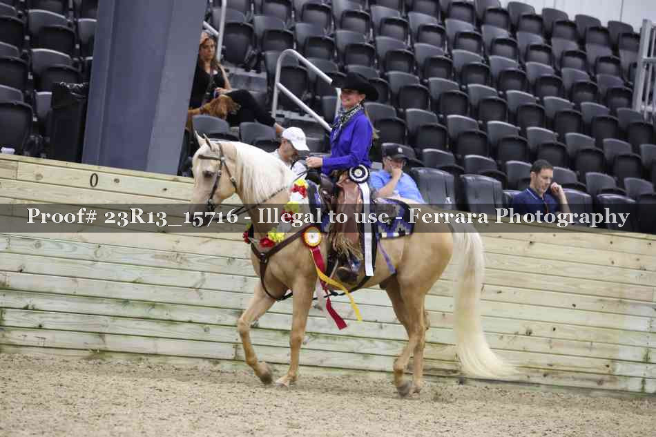 Proof Number 23R13_15716