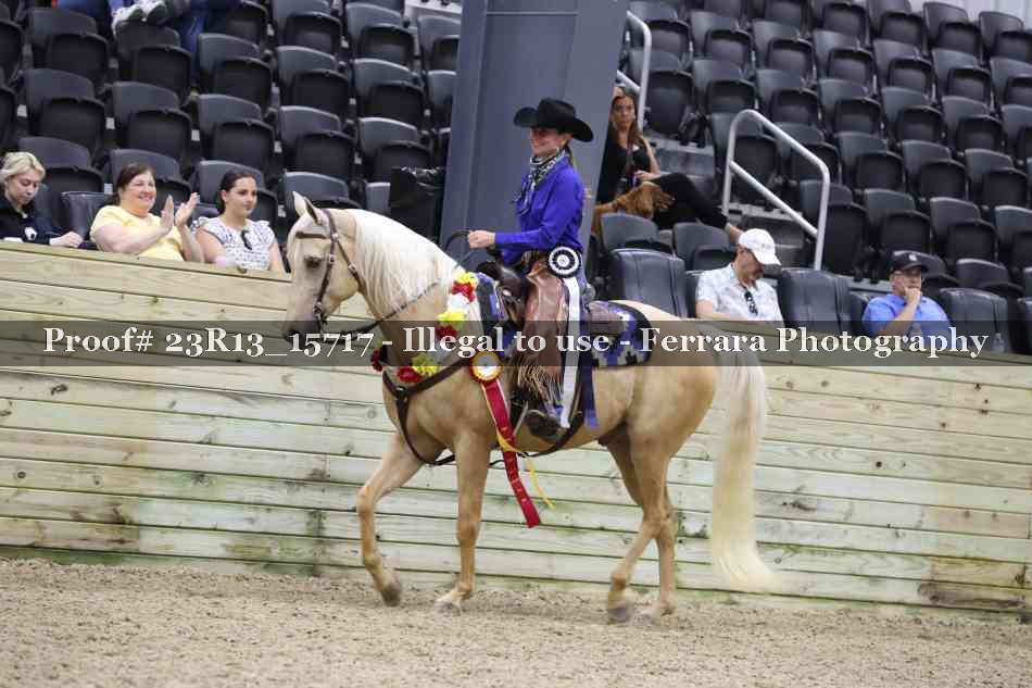 Proof Number 23R13_15717