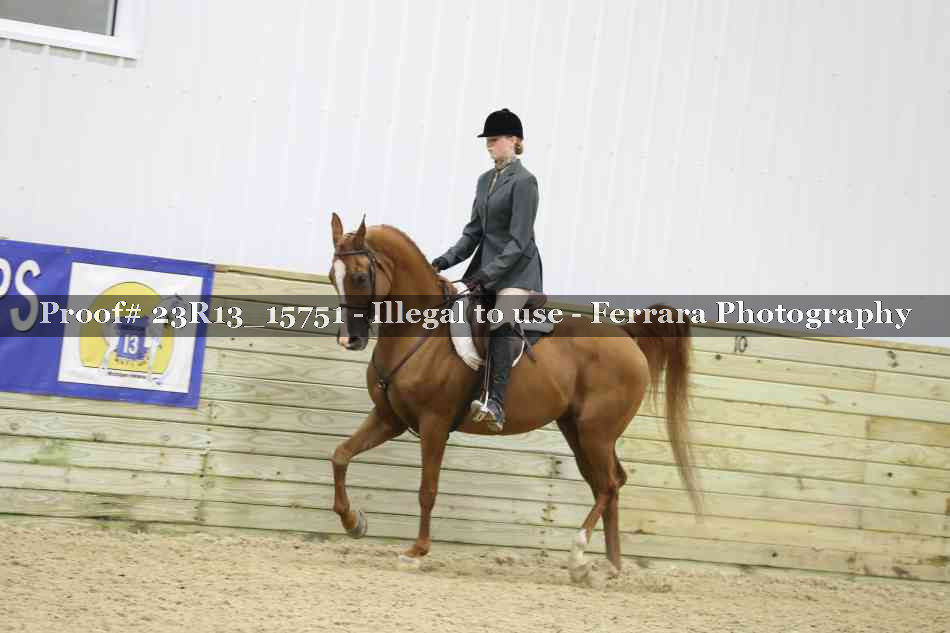 Proof Number 23R13_15751
