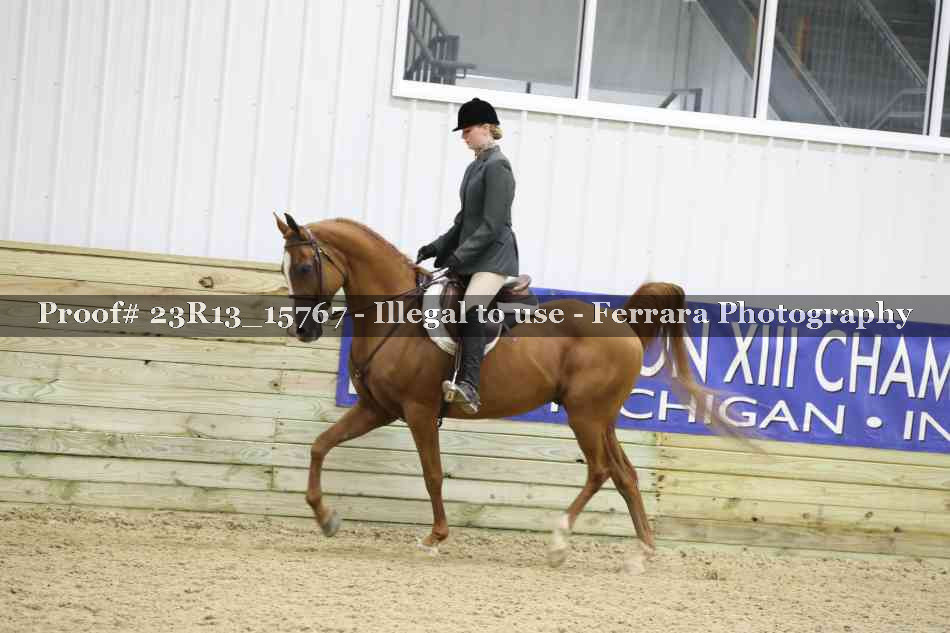 Proof Number 23R13_15767