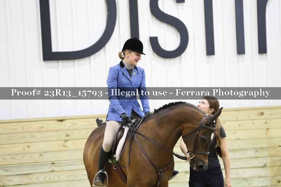 Proof Number 23R13_15793