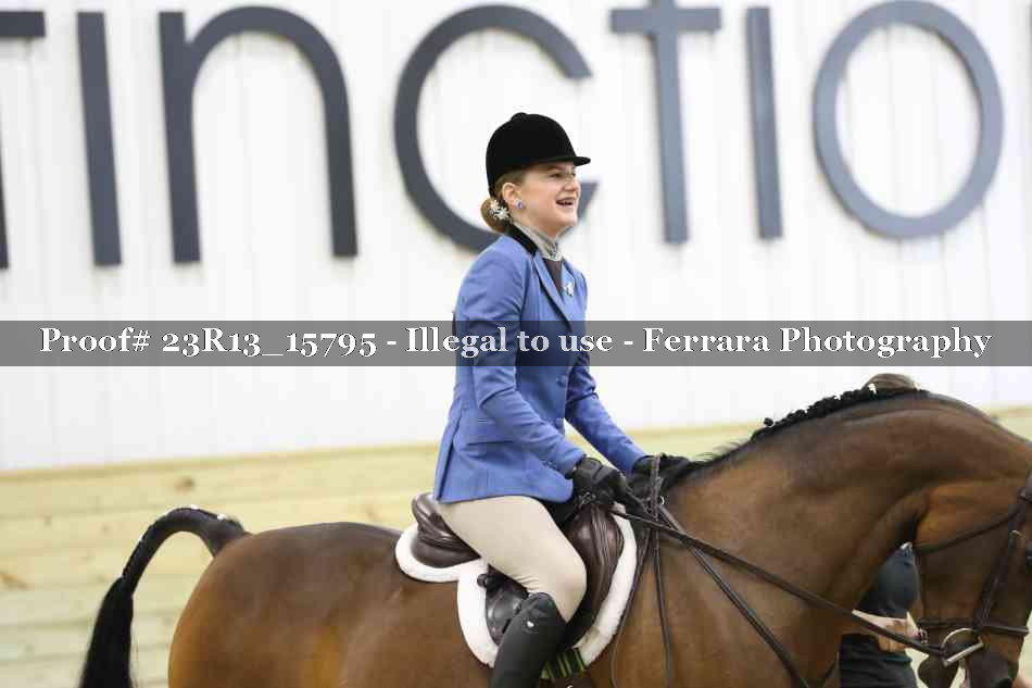 Proof Number 23R13_15795