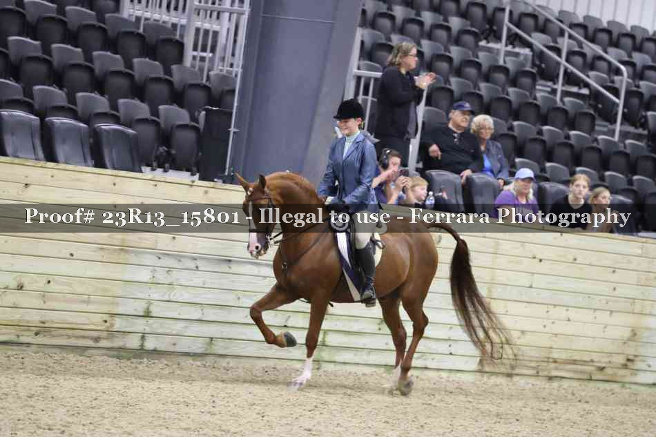 Proof Number 23R13_15801