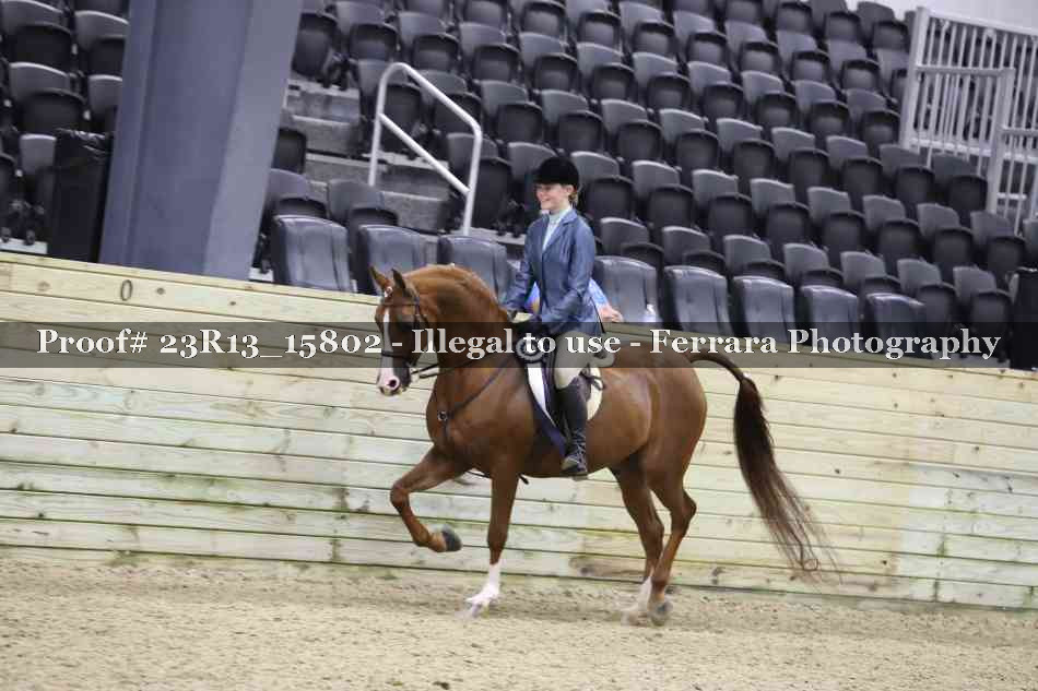Proof Number 23R13_15802
