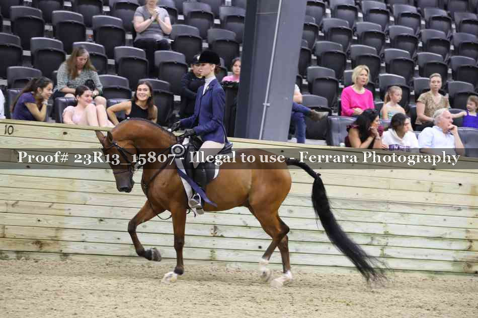 Proof Number 23R13_15807